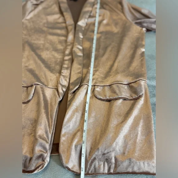 Elegant Champagne Velour Blazer | L | - Picture 9 of 10